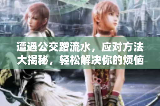 遭遇公交蹭流水，應(yīng)對(duì)方法大揭秘，輕松解決你的煩惱