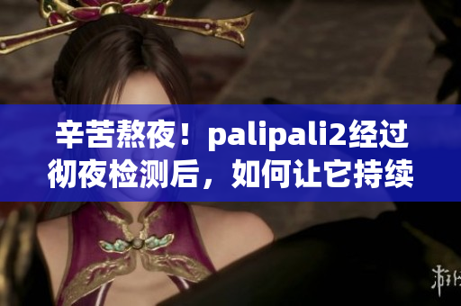 辛苦熬夜！palipali2經(jīng)過徹夜檢測后，如何讓它持續(xù)高效？