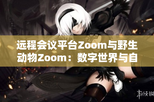 遠(yuǎn)程會(huì)議平臺(tái)Zoom與野生動(dòng)物Zoom：數(shù)字世界與自然界的奇妙交匯
