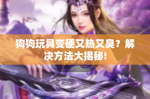 狗狗玩具變硬又熱又臭？解決方法大揭秘!