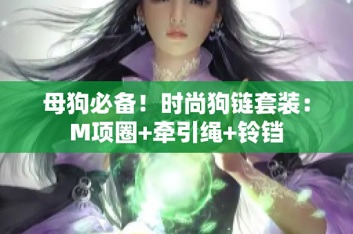 母狗必備！時尚狗鏈套裝：M項圈+牽引繩+鈴鐺