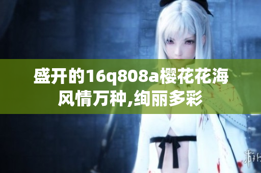 盛開的16q808a櫻花花海風情萬種,絢麗多彩