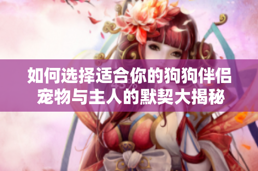 如何選擇適合你的狗狗伴侶 寵物與主人的默契大揭秘