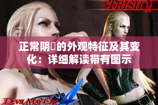 正常陰脣的外觀特征及其變化：詳細(xì)解讀帶有圖示