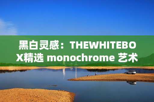 黑白靈感：THEWHITEBOX精選 monochrome 藝術