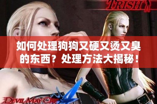 如何處理狗狗又硬又燙又臭的東西？處理方法大揭秘！