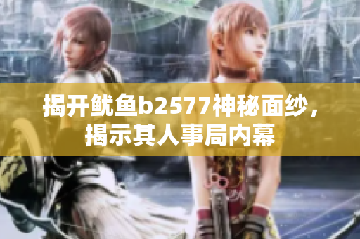 揭開魷魚b2577神秘面紗，揭示其人事局內(nèi)幕