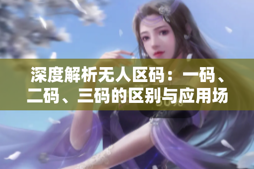 深度解析無人區(qū)碼：一碼、二碼、三碼的區(qū)別與應(yīng)用場景揭秘