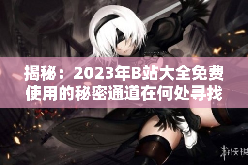 揭秘：2023年B站大全免費(fèi)使用的秘密通道在何處尋找？