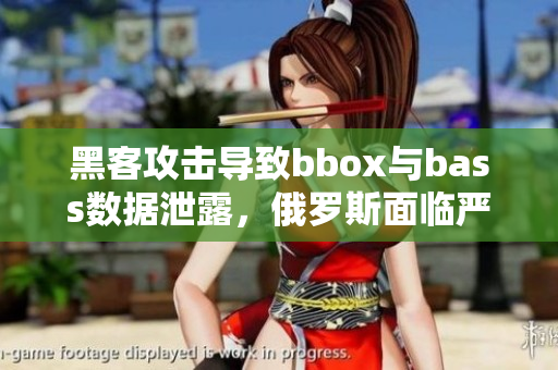 黑客攻擊導(dǎo)致bbox與bass數(shù)據(jù)泄露，俄羅斯面臨嚴重網(wǎng)絡(luò)安全挑戰(zhàn)