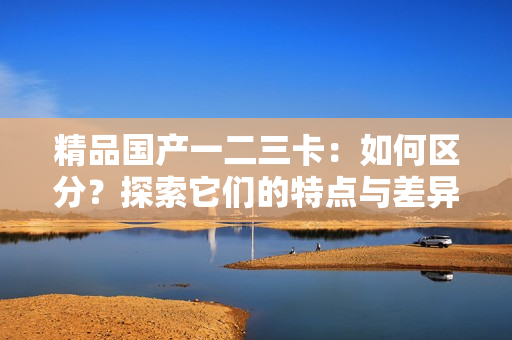 精品國產(chǎn)一二三卡：如何區(qū)分？探索它們的特點與差異