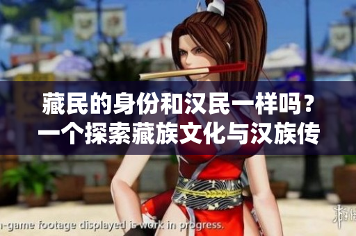 藏民的身份和漢民一樣嗎？一個(gè)探索藏族文化與漢族傳統(tǒng)的比較