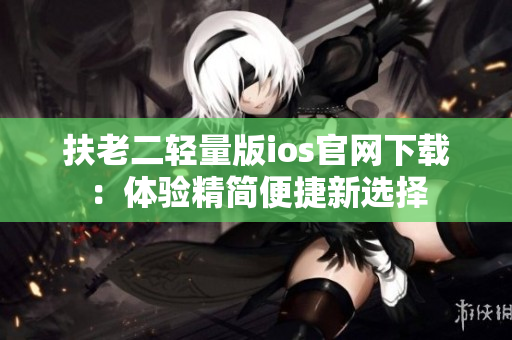 扶老二輕量版ios官網(wǎng)下載：體驗精簡便捷新選擇
