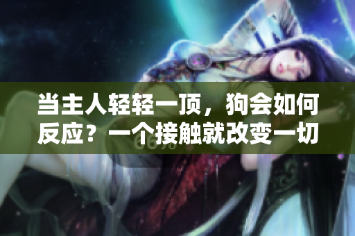當主人輕輕一頂，狗會如何反應？一個接觸就改變一切的親密時刻。