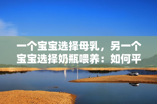 一個寶寶選擇母乳，另一個寶寶選擇奶瓶喂養(yǎng)：如何平衡哺乳和瓶喂的挑戰(zhàn)