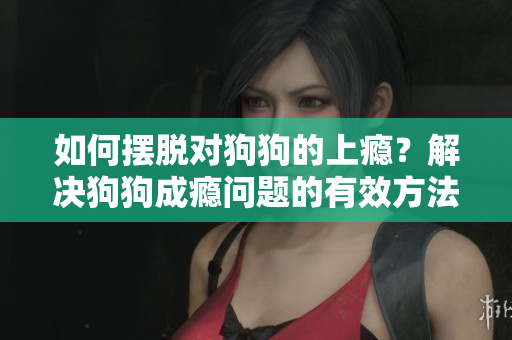如何擺脫對狗狗的上癮？解決狗狗成癮問題的有效方法