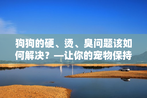 狗狗的硬、燙、臭問題該如何解決？—讓你的寵物保持舒適與健康