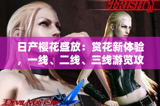 日產(chǎn)櫻花盛放：賞花新體驗，一線、二線、三線游覽攻略大揭秘！