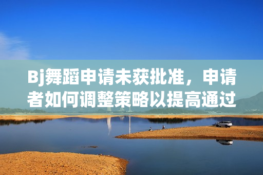 Bj舞蹈申請未獲批準(zhǔn)，申請者如何調(diào)整策略以提高通過率？