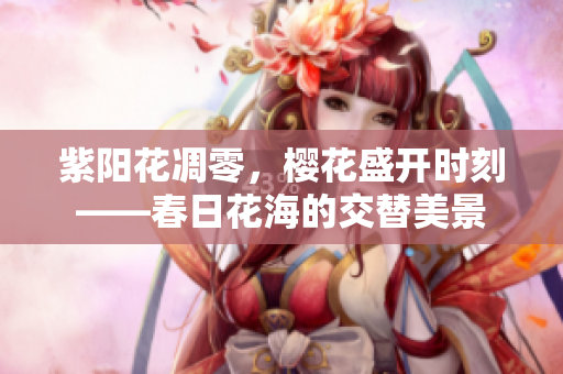 紫陽花凋零，櫻花盛開時刻——春日花海的交替美景