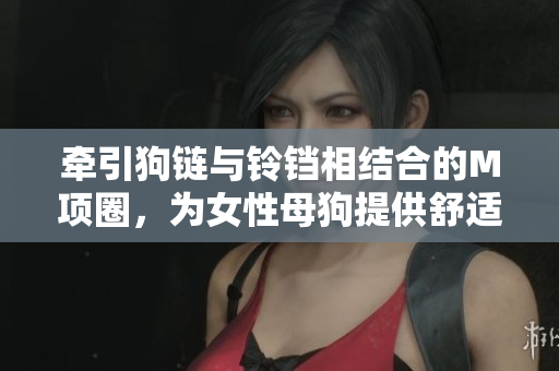 牽引狗鏈與鈴鐺相結(jié)合的M項(xiàng)圈，為女性母狗提供舒適與引導(dǎo)。