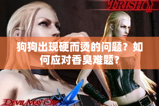 狗狗出現(xiàn)硬而燙的問題？如何應(yīng)對香臭難題？