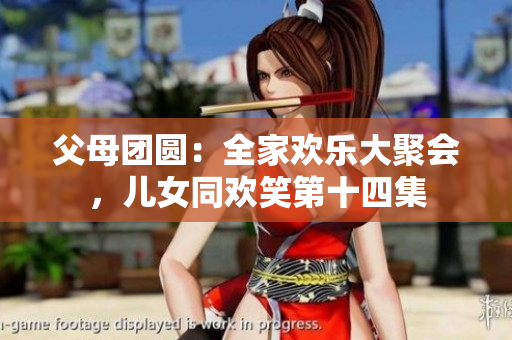父母團圓：全家歡樂大聚會，兒女同歡笑第十四集