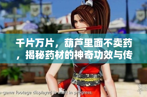 千片萬片，葫蘆里面不賣藥，揭秘藥材的神奇功效與傳說
