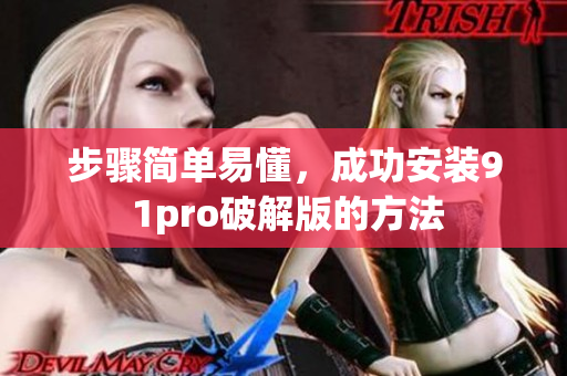 步驟簡(jiǎn)單易懂，成功安裝9 1pro破解版的方法
