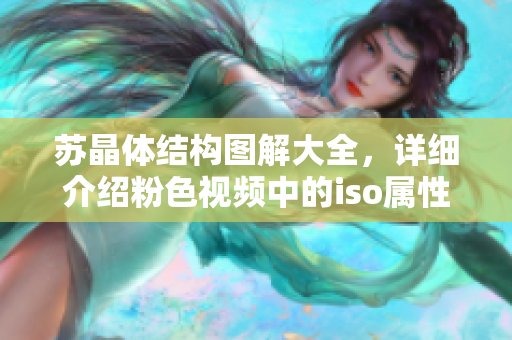 蘇晶體結(jié)構(gòu)圖解大全，詳細(xì)介紹粉色視頻中的iso屬性