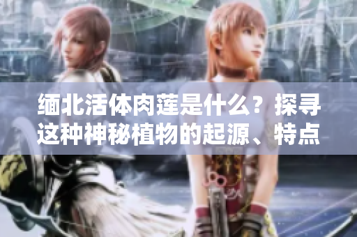 緬北活體肉蓮是什么？探尋這種神秘植物的起源、特點與用途