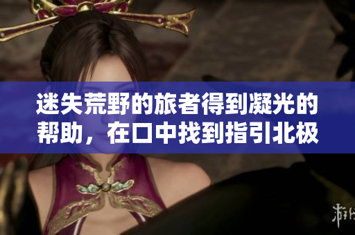 迷失荒野的旅者得到凝光的幫助，在口中找到指引北極星 尋找回家的旅者