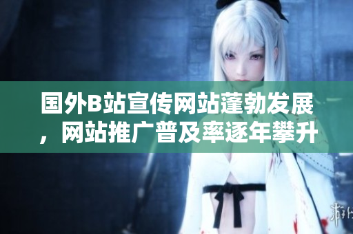 國(guó)外B站宣傳網(wǎng)站蓬勃發(fā)展，網(wǎng)站推廣普及率逐年攀升