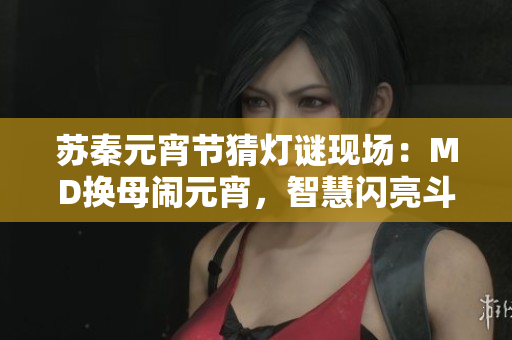 蘇秦元宵節(jié)猜燈謎現(xiàn)場(chǎng)：MD換母鬧元宵，智慧閃亮斗燈謎