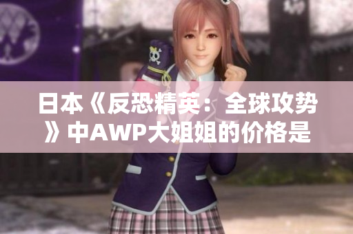 日本《反恐精英：全球攻勢》中AWP大姐姐的價(jià)格是多少？