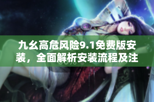 九幺高危風(fēng)險(xiǎn)9.1免費(fèi)版安裝，全面解析安裝流程及注意事項(xiàng)