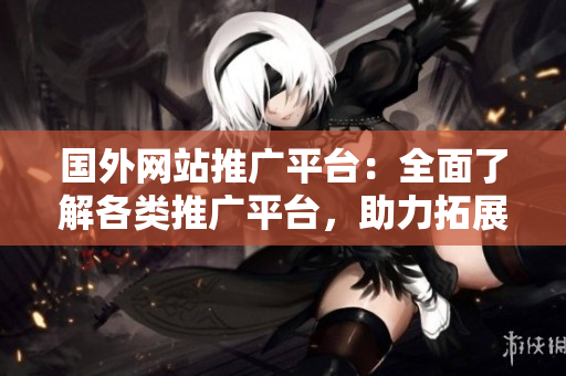 國(guó)外網(wǎng)站推廣平臺(tái)：全面了解各類推廣平臺(tái)，助力拓展海外市場(chǎng)
