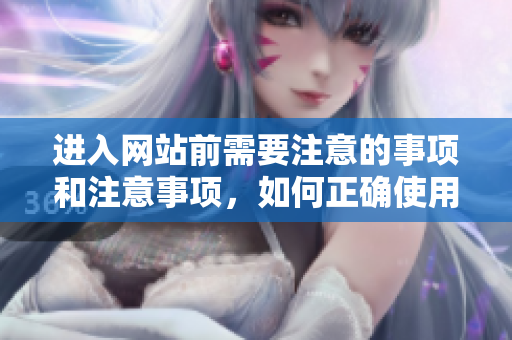 進入網(wǎng)站前需要注意的事項和注意事項，如何正確使用瀏覽器進行網(wǎng)站瀏覽。