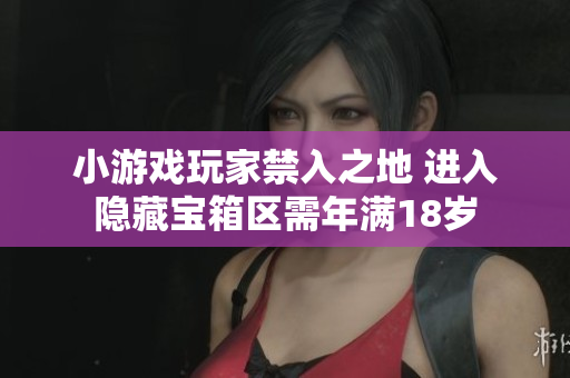 小游戲玩家禁入之地 進(jìn)入隱藏寶箱區(qū)需年滿18歲