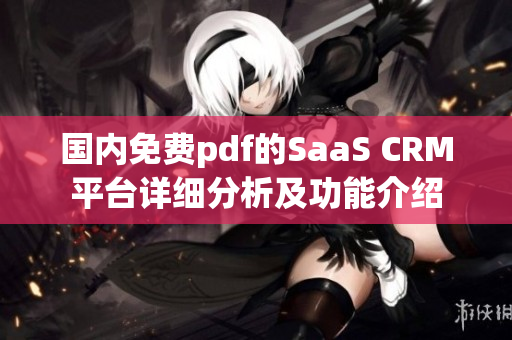 國內免費pdf的SaaS CRM平臺詳細分析及功能介紹
