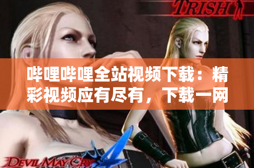 嗶哩嗶哩全站視頻下載：精彩視頻應(yīng)有盡有，下載一網(wǎng)打盡