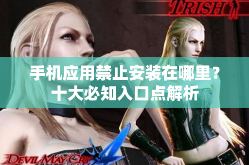 手機應(yīng)用禁止安裝在哪里？十大必知入口點解析
