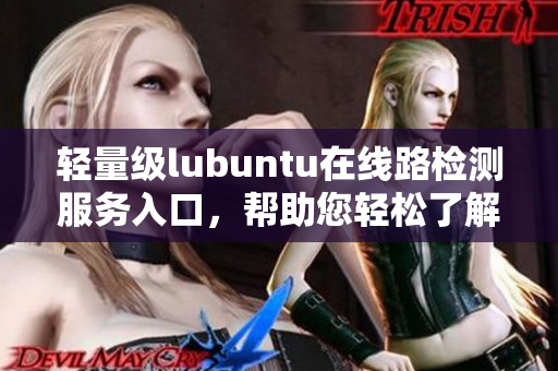 輕量級lubuntu在線路檢測服務(wù)入口，幫助您輕松了解網(wǎng)絡(luò)連接狀態(tài)