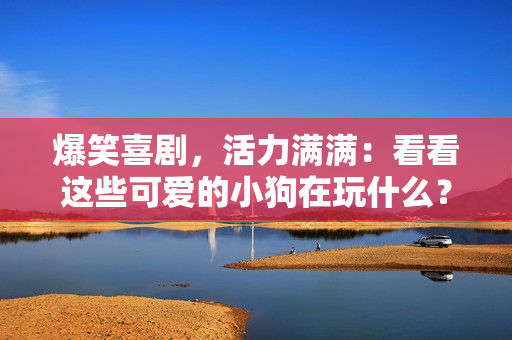 爆笑喜劇，活力滿滿：看看這些可愛的小狗在玩什么？