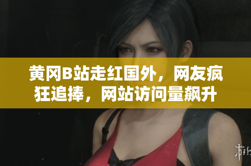 黃岡B站走紅國(guó)外，網(wǎng)友瘋狂追捧，網(wǎng)站訪問量飆升