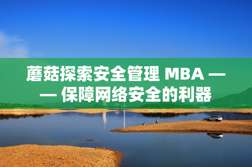 蘑菇探索安全管理 MBA —— 保障網(wǎng)絡安全的利器