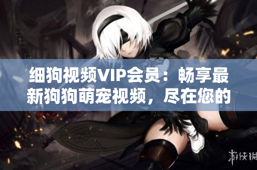 細(xì)狗視頻VIP會(huì)員：暢享最新狗狗萌寵視頻，盡在您的觸手可及