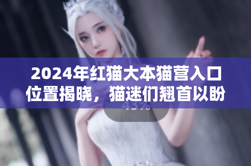2024年紅貓大本貓營入口位置揭曉，貓迷們翹首以盼