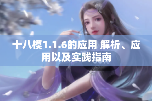 十八模1.1.6的應(yīng)用 解析、應(yīng)用以及實(shí)踐指南