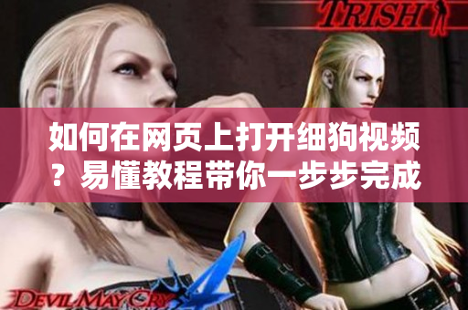 如何在網(wǎng)頁上打開細(xì)狗視頻？易懂教程帶你一步步完成